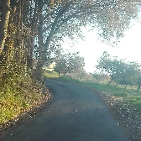 Oda ve Kahvaltı Petronilla Fermo